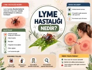 Lyme Hastalığı Nedir ve Deri Hastalığı Hakkında Bilmeniz Gerekenler