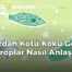 Ağızdan Kötü Koku Gelen Mikroplar Nasıl Anlaşılır?