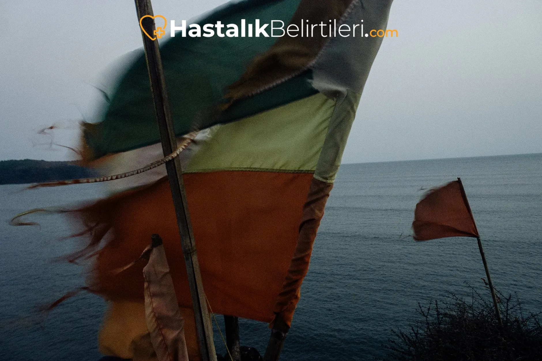 Kalp atışı ve nabız çizimleriyle çarpıntı şikâyetleri