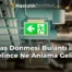 Baş Dönmesi Bulantı ile Gelince Ne Anlama Gelir?