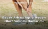 Bacak Arkası Ağrısı Neden Olur? Sinir mi Damar mı
