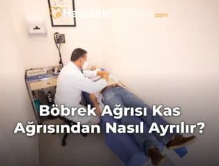 Böbrek Ağrısı Kas Ağrısından Nasıl Ayrılır?