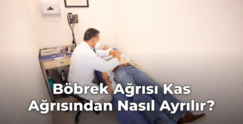 Böbrek Ağrısı Kas Ağrısından Nasıl Ayrılır?