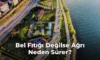 Bel Fıtığı Değilse Ağrı Neden Sürer?