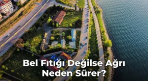 Bel Fıtığı Değilse Ağrı Neden Sürer?