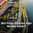 Bel Fıtığı Değilse Ağrı Neden Sürer?