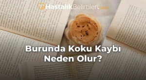 Burunda Koku Kaybı Neden Olur?