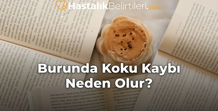Burunda Koku Kaybı Neden Olur?