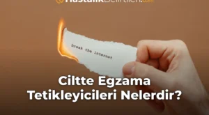 Ciltte Egzama Tetikleyicileri Nelerdir?