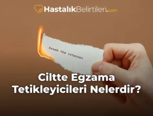 Ciltte Egzama Tetikleyicileri Nelerdir?