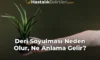 Deri Soyulması Neden Olur, Ne Anlama Gelir?