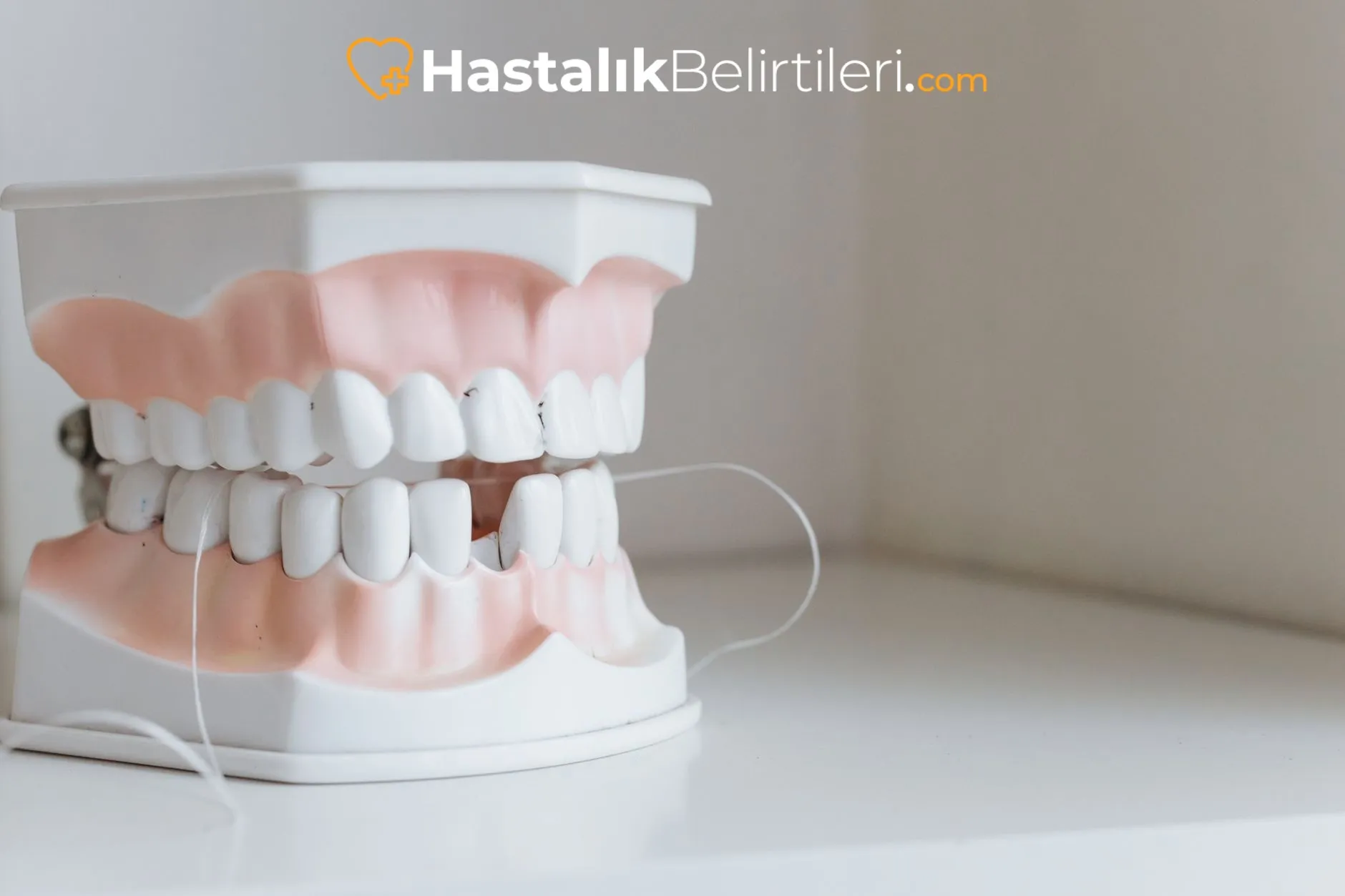 Diş Eti Çekilmesi Neden Olur, Ne Yapmalı? 5 Diş hekimi diş eti çekilmesi muayenesi yapıyor
