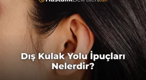 Dış Kulak Yolu İpuçları Nelerdir?