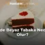 Dilde Beyaz Tabaka Neden Olur?