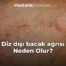 Diz dışı bacak ağrısı Neden Olur?