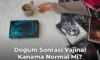 Doğum Sonrası Vajinal Kanama Normal Mi?
