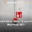 Gebelikte İdrar Kaçırma Normal Mi?