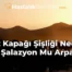 Göz Kapağı Şişliği Neden Olur Şalazyon Mu Arpacık?