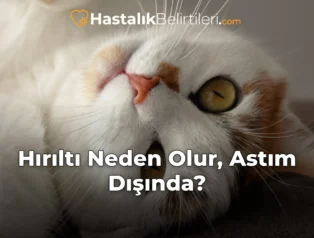 Hırıltı Neden Olur, Astım Dışında?