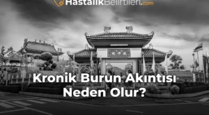 Kronik Burun Akıntısı Neden Olur?