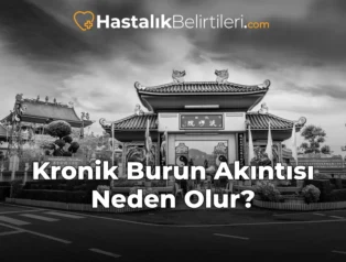 Kronik Burun Akıntısı Neden Olur?