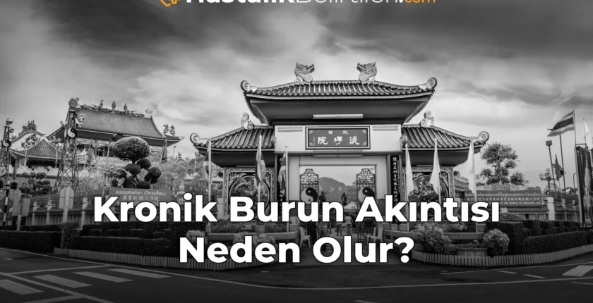 Kronik Burun Akıntısı Neden Olur?
