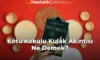 Kötü Kokulu Kulak Akıntısı Ne Demek? Kötü Kokulu Kulak Akıntısı Ne Demek?