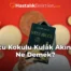 Kötü Kokulu Kulak Akıntısı Ne Demek?