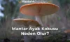 Mantar Ayak Kokusu Neden Olur? Mantar Ayak Kokusu Neden Olur?
