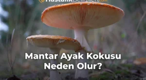 Mantar Ayak Kokusu Neden Olur?