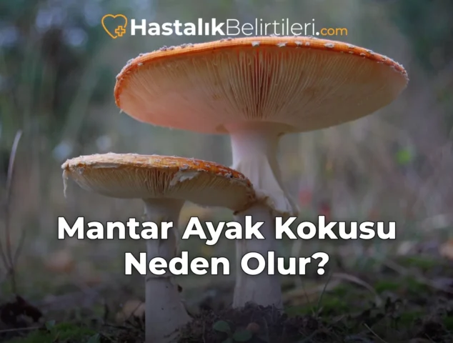Mantar Ayak Kokusu Neden Olur?