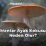 Mantar Ayak Kokusu Neden Olur?
