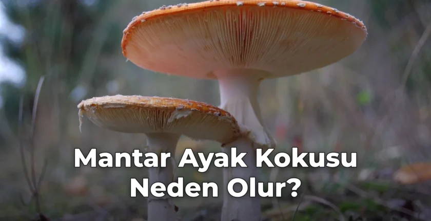 Mantar Ayak Kokusu Neden Olur?