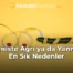 Peniste Ağrı ya da Yanma En Sık Nedenler