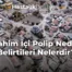 Rahim İçi Polip Nedir, Belirtileri Nelerdir?