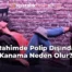 Rahimde Polip Dışında Kanama Neden Olur?