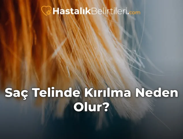Saç Telinde Kırılma Neden Olur?