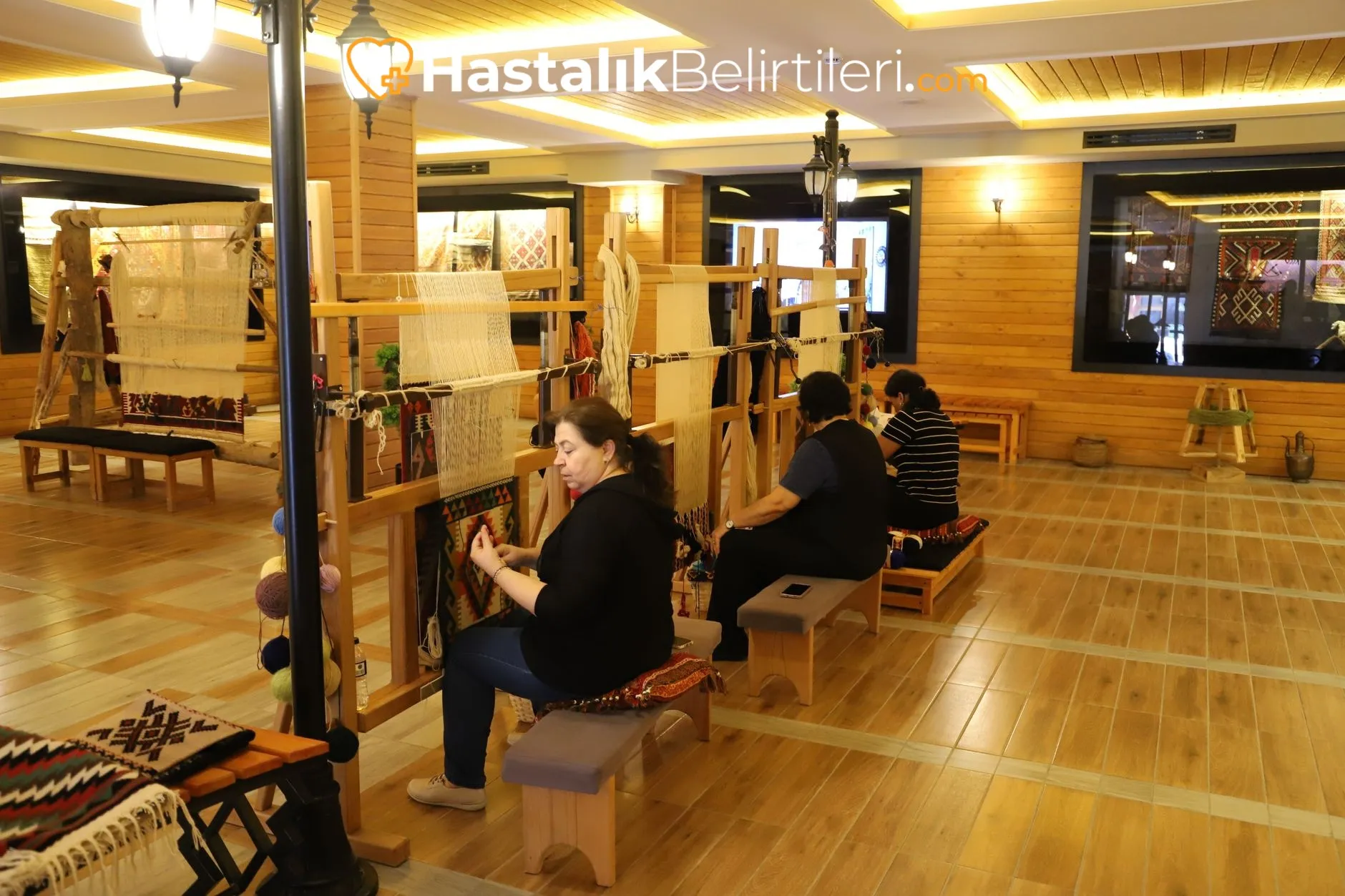 Sırt bölgesini gösteren tıbbi anatomi illüstrasyonu