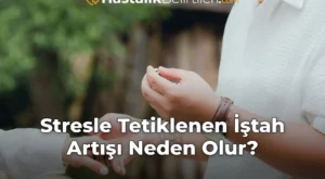 Stresle Tetiklenen İştah Artışı Neden Olur?
