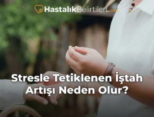 Stresle Tetiklenen İştah Artışı Neden Olur?