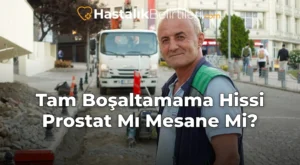 Tam Boşaltamama Hissi Prostat Mı Mesane Mi?