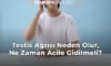 Testis Ağrısı Neden Olur, Ne Zaman Acile Gidilmeli?