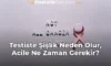 Testiste Şişlik Neden Olur, Acile Ne Zaman Gerekir?