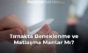 Tırnakta Beneklenme ve Matlaşma Mantar Mı? Tırnakta Beneklenme ve Matlaşma Mantar Mı?