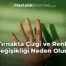Tırnakta Çizgi ve Renk Değişikliği Neden Olur?