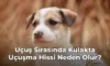 Uçuş Sırasında Kulakta Uçuşma Hissi Neden Olur?