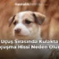 Uçuş Sırasında Kulakta Uçuşma Hissi Neden Olur?