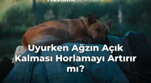 Uyurken Ağzın Açık Kalması Horlamayı Artırır mı?
