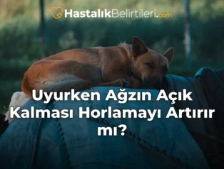 Uyurken Ağzın Açık Kalması Horlamayı Artırır mı?
