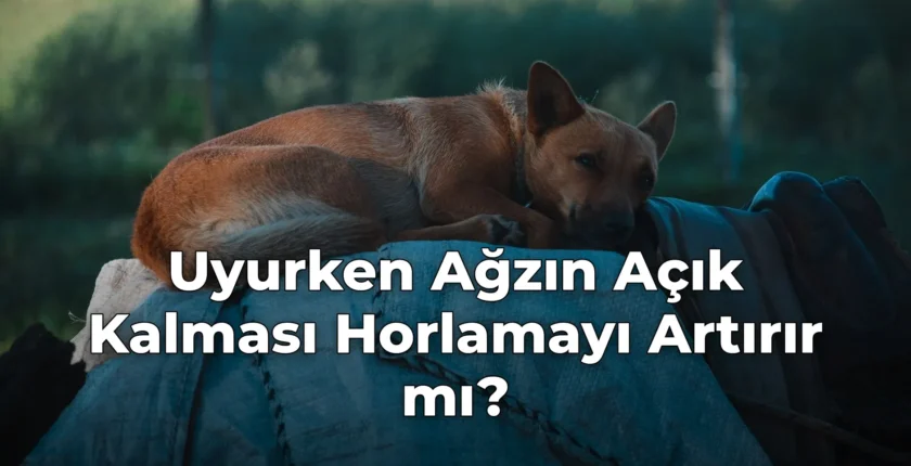 Uyurken Ağzın Açık Kalması Horlamayı Artırır mı?